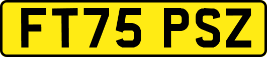FT75PSZ