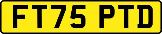 FT75PTD
