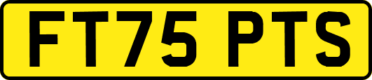 FT75PTS