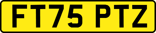 FT75PTZ