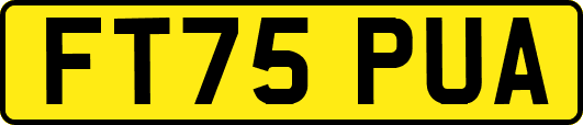 FT75PUA