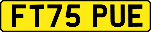 FT75PUE