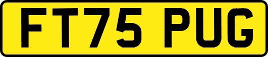 FT75PUG