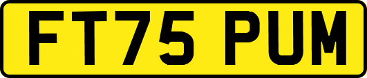 FT75PUM