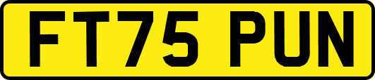 FT75PUN