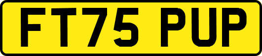FT75PUP