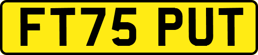 FT75PUT