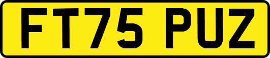 FT75PUZ
