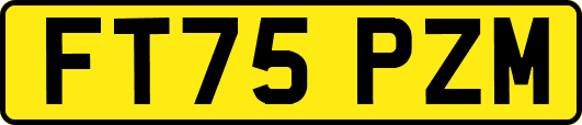 FT75PZM