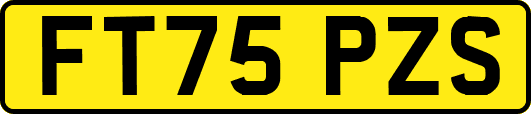 FT75PZS
