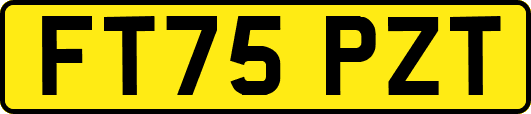 FT75PZT