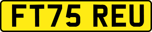 FT75REU