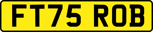 FT75ROB