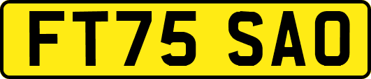 FT75SAO
