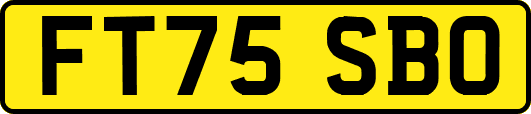 FT75SBO