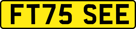 FT75SEE