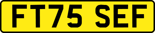 FT75SEF