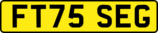 FT75SEG