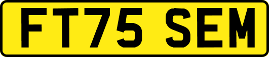 FT75SEM