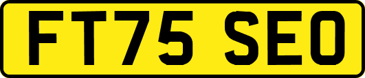 FT75SEO
