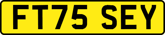 FT75SEY