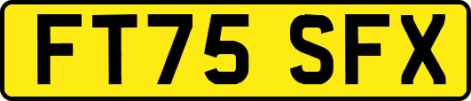FT75SFX