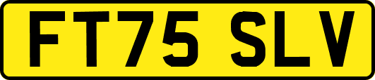 FT75SLV
