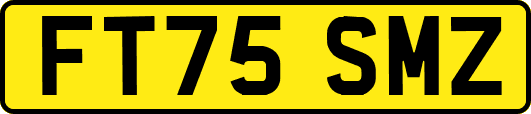 FT75SMZ