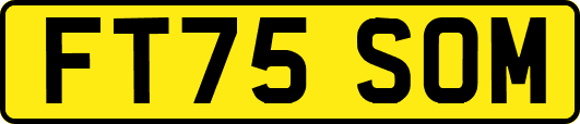 FT75SOM