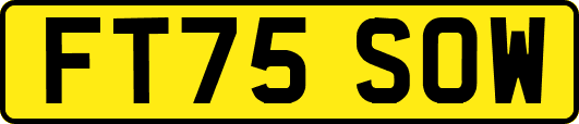 FT75SOW