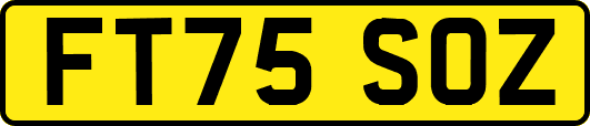 FT75SOZ