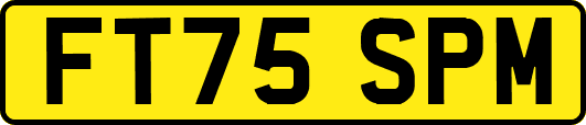 FT75SPM
