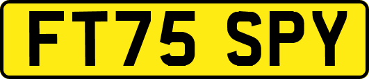 FT75SPY