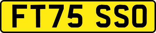 FT75SSO