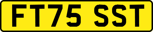 FT75SST