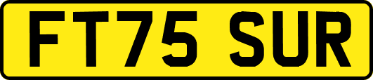 FT75SUR