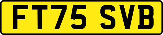 FT75SVB