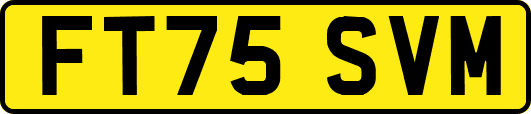 FT75SVM