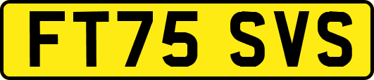 FT75SVS