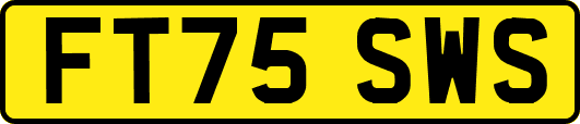 FT75SWS