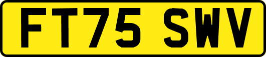 FT75SWV