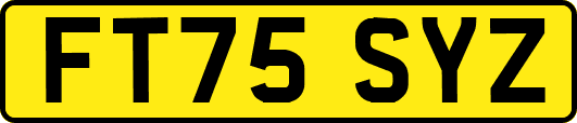 FT75SYZ