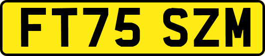 FT75SZM