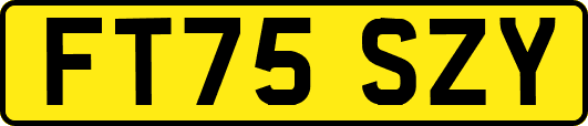 FT75SZY
