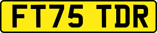 FT75TDR