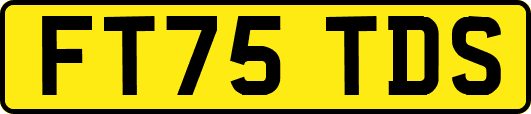 FT75TDS