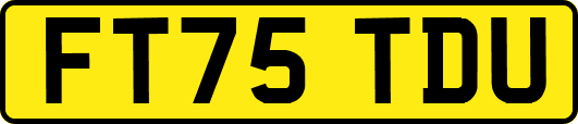FT75TDU