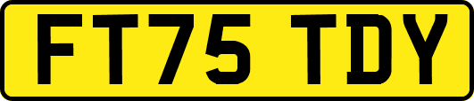 FT75TDY