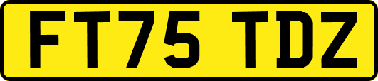 FT75TDZ