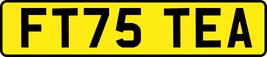 FT75TEA